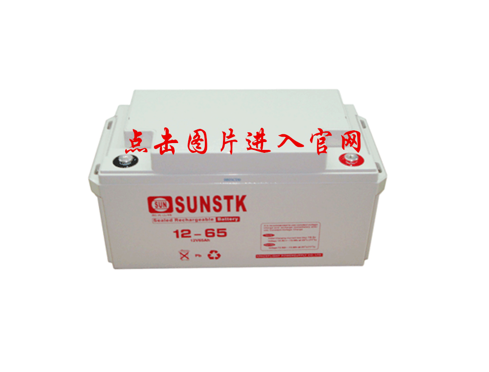 SUNSTK 蓄电池
